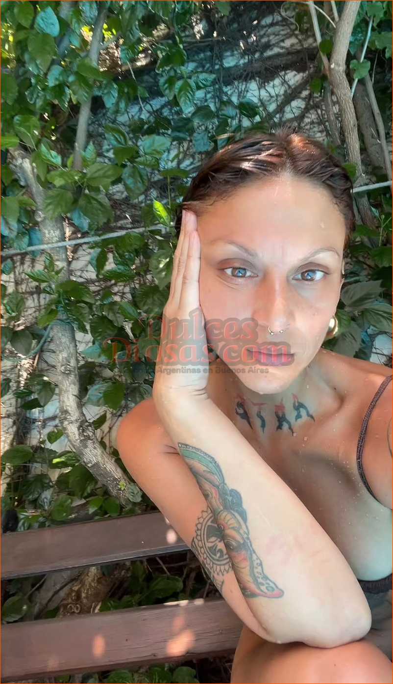 Nina 15-2617-0568
