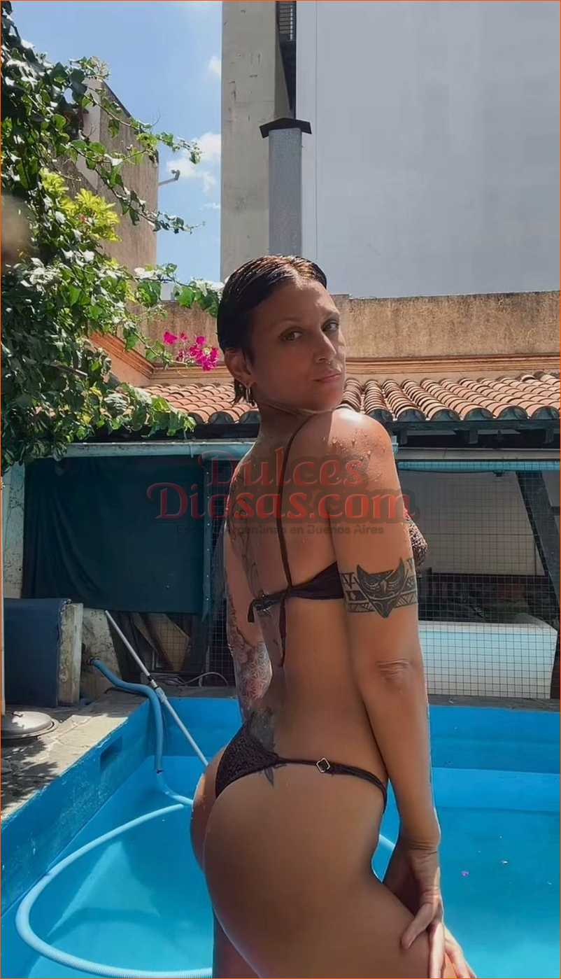 Nina 15-2617-0568